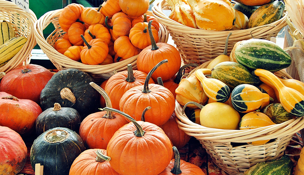 Baskets of various gourds from pie pumpkins, ornamental pumpkins and various squashes