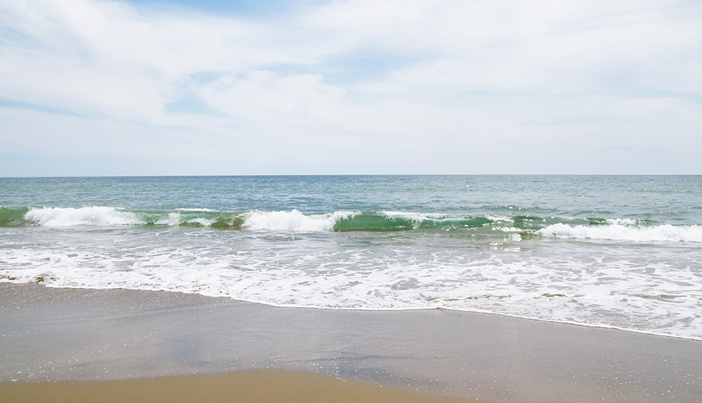 Beautiful beach with waves greeting the sand in Taylor Head Provincial Park