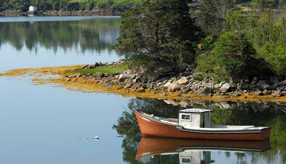 Small red tug boat floating near the coast with rocks and trees
