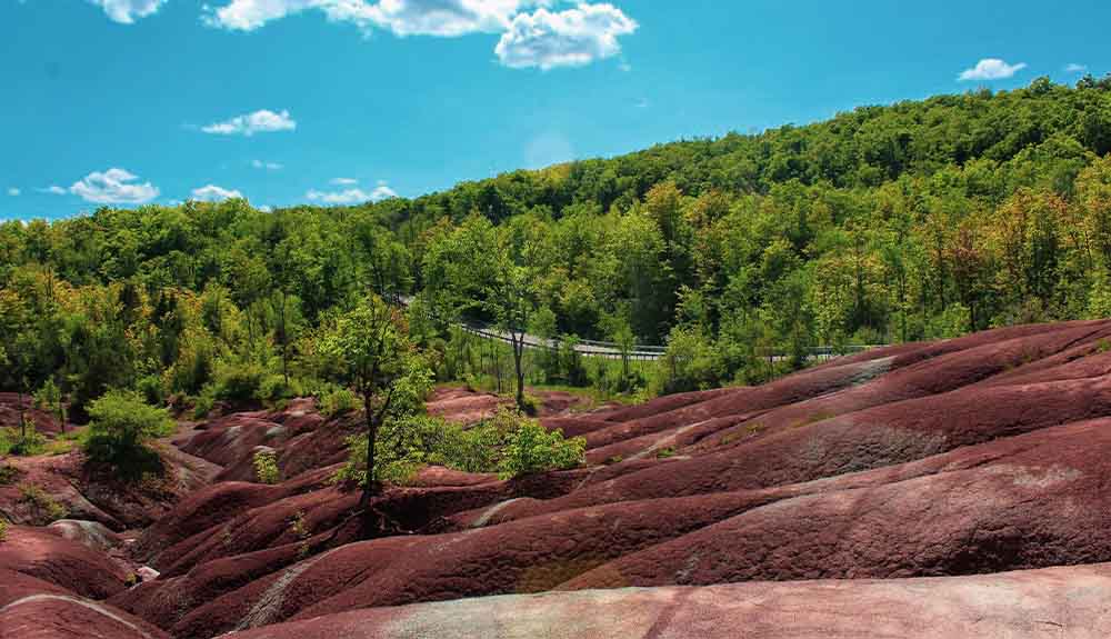 A bright blue sky with a few clouds floating in the background of bright green tree tops and rolling red rocks. There is a road in the far back corner of the image.