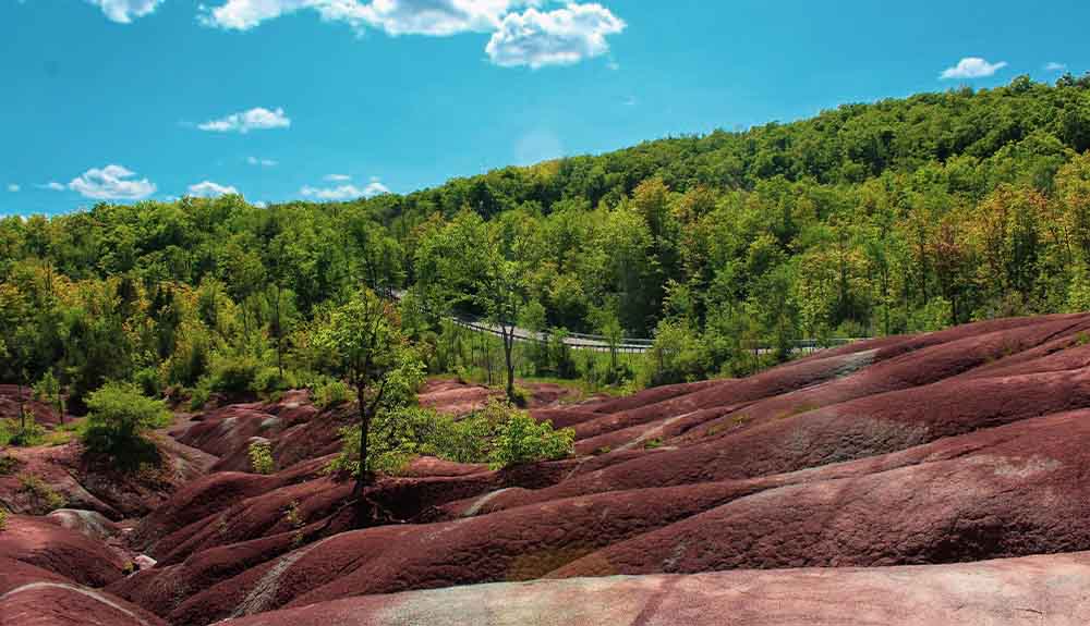 A bright blue sky with a few clouds floating in the background of bright green tree tops and rolling red rocks. There is a road in the far back corner of the image.
