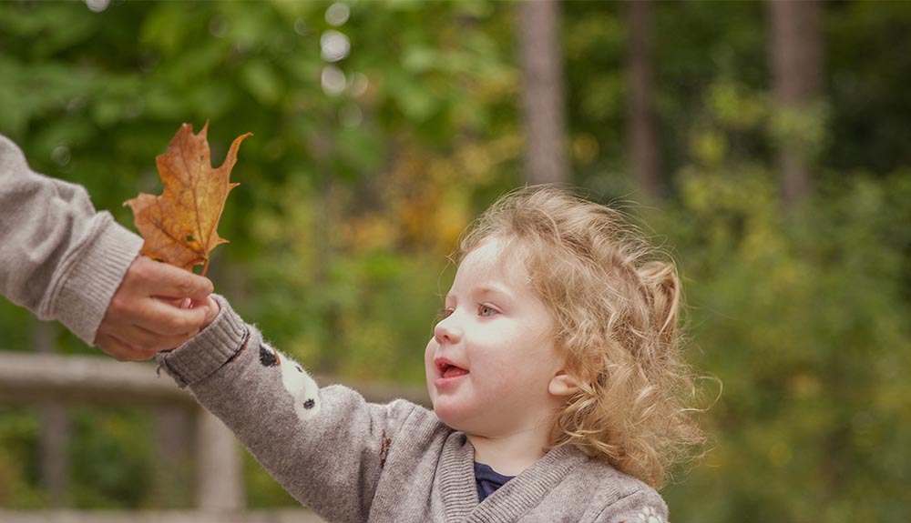 A young child is shown reaching for an orange leaf
