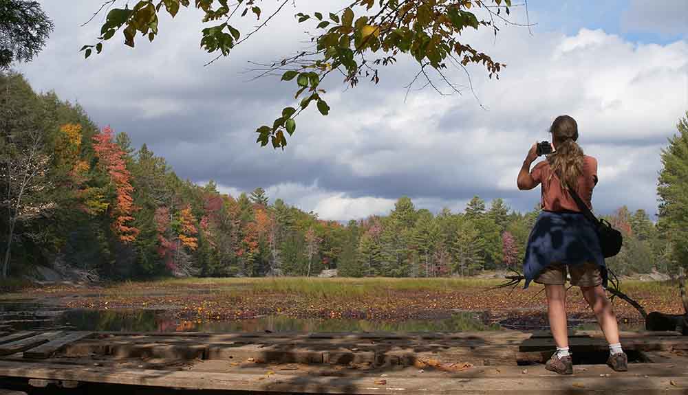 A person is shown from behind taking a picture of trees showing fall colours
