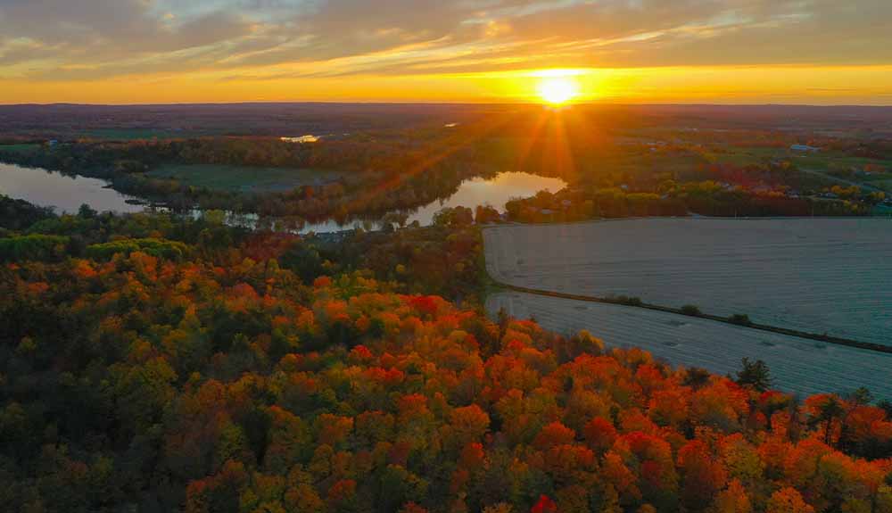 An overhead view shows treetops coloured red and green at sunset