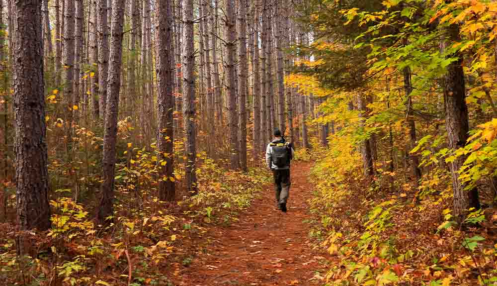 A person is shown walking along a trail through the woods in the fall
