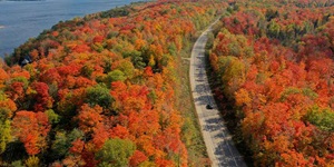 An overhead view shows a road that goes through trees with beautiful fall colours like red and orange