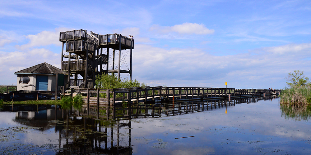 A gorgeous clear spring sky is seen at a long dock that comes to a three-story view point in marshy water area