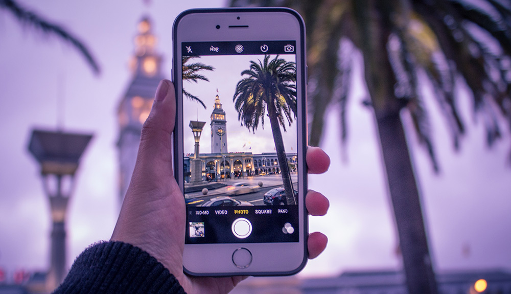 An iPhone is seen open to the camera app, a gorgeous shot of a lit up tower and palm tree seen on the screen
