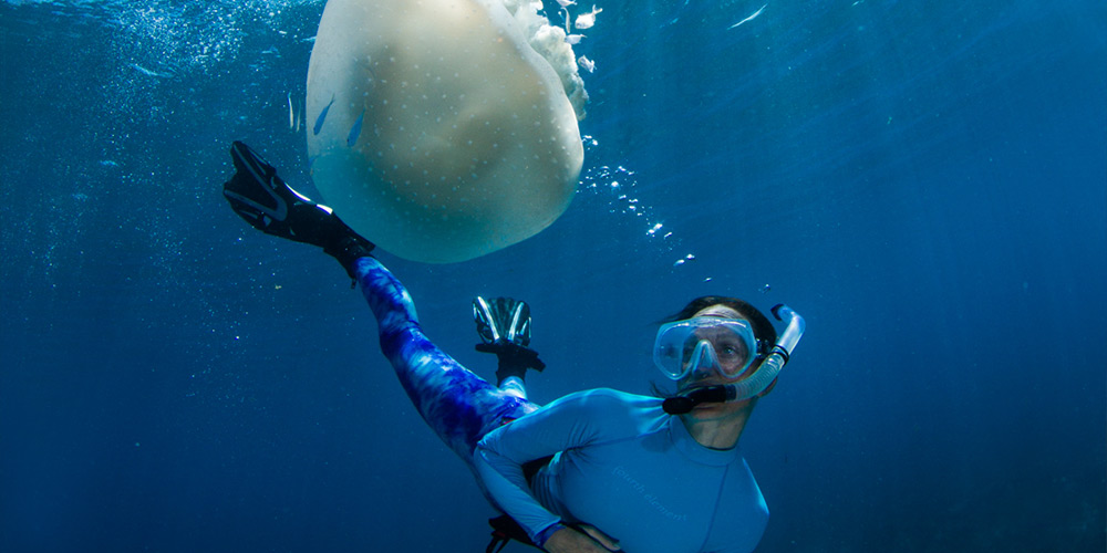 A man scuba diving while a jellyfish swims by him