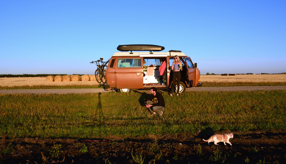 A man and woman stand outside a burnt orange camper van, their orange and white cat prowling in the filed beside them