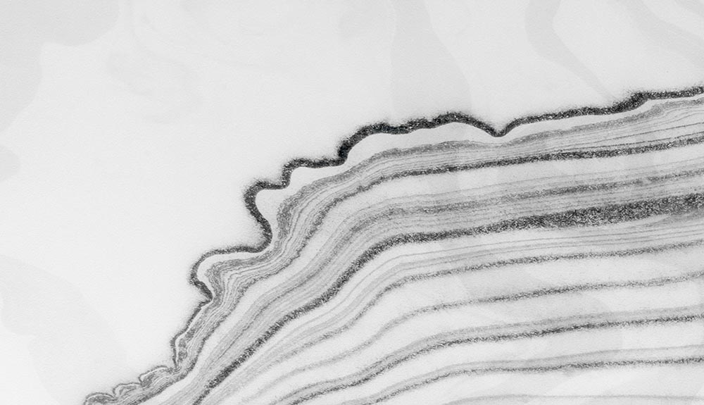 A unique design using parallel lines drawn in charcoal is shown