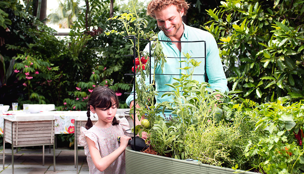 Man and little girl look at self-watering vegetable garden in a commercial space