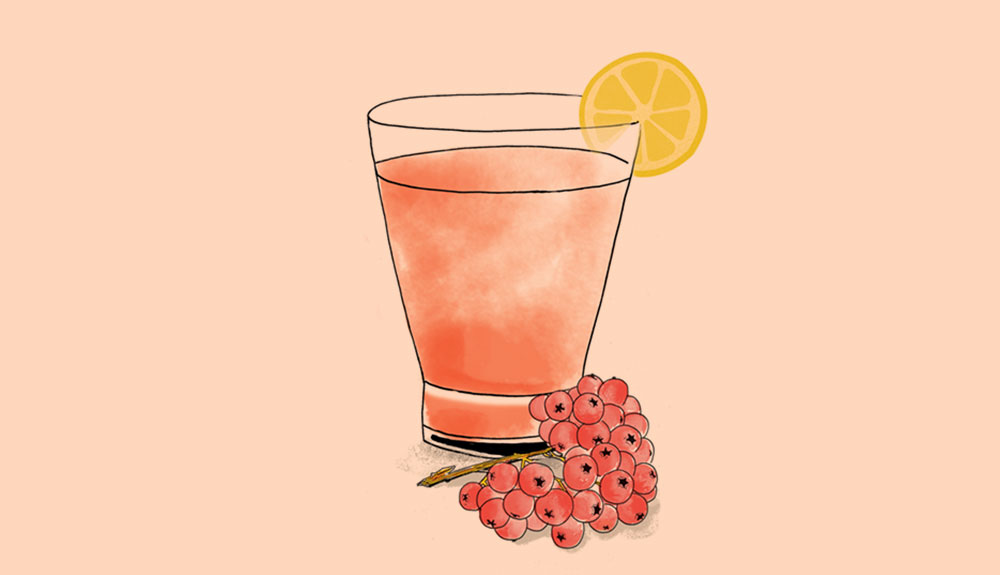 Illustration of glass with pink kompot garnished with a slice of lemon