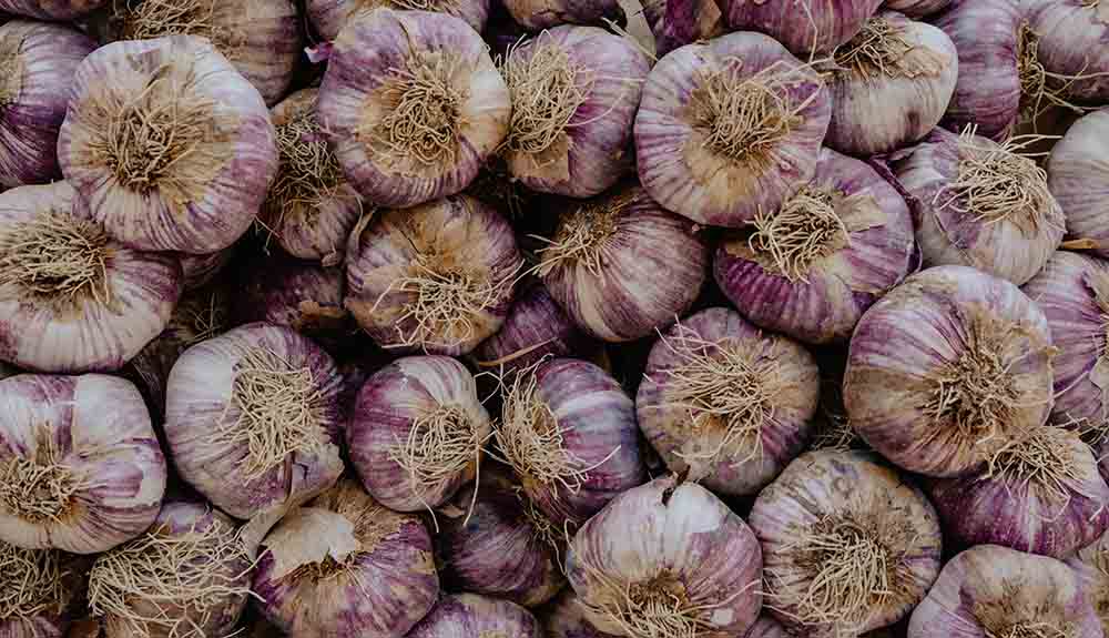 A cluster of garlic bulbs.