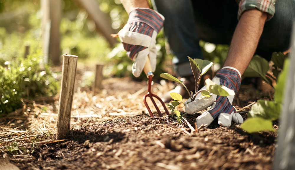 A gardener kneels to dig up some soil
