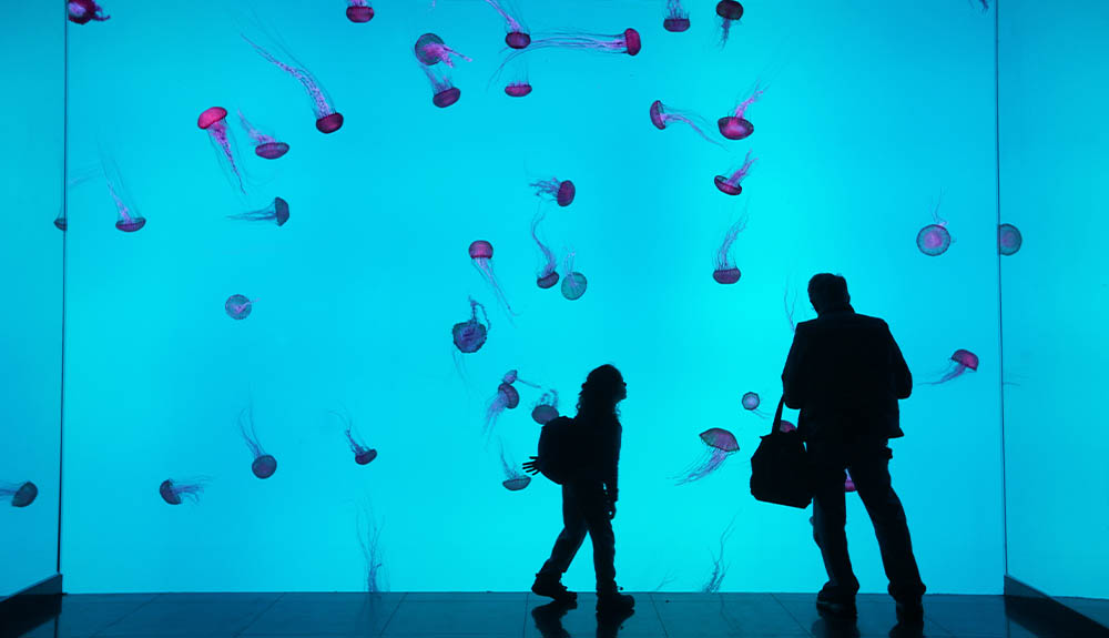 A parent and child look at the jellyfish tank at Ripley's Aquarium of Canada, in Toronto, Ontario