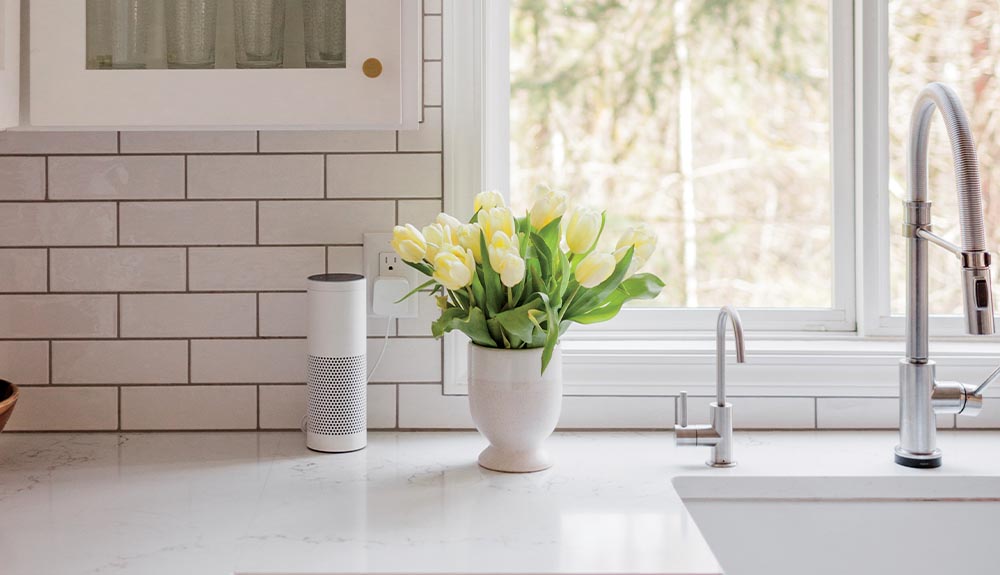 A vase of flowers is shown on a kitchen counter