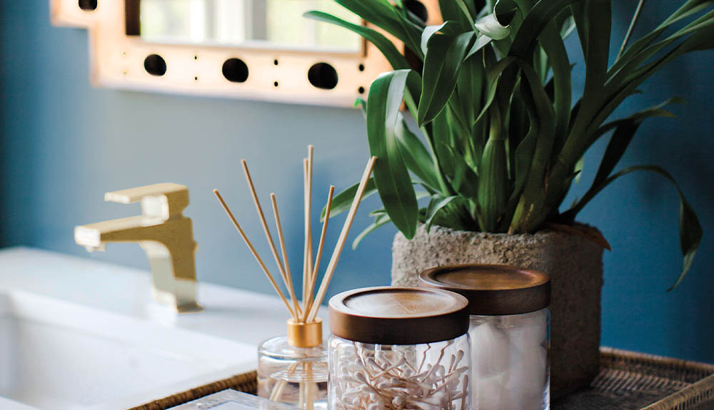 Bathroom sink with a plant, cotton balls, cotton swabs and a diffuser sitting next to it