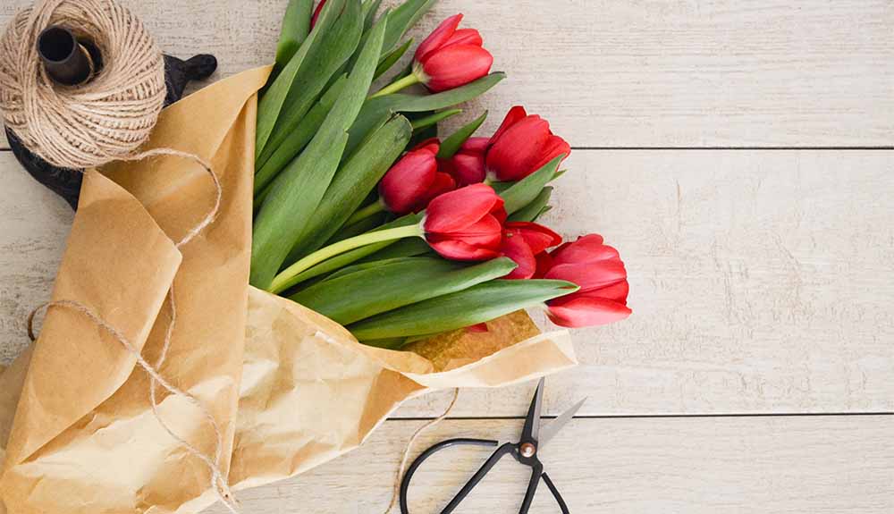 An overhead photo shows a bouquet of red tulips next to a pair of scissors and a ball of twine