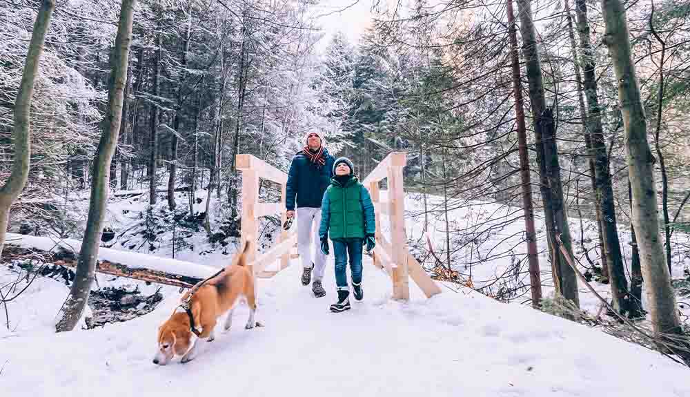 A father and child walk their dog on a path in the woods on a snowy day