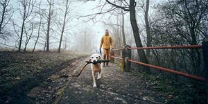 A man walks his dog on a path in the woods