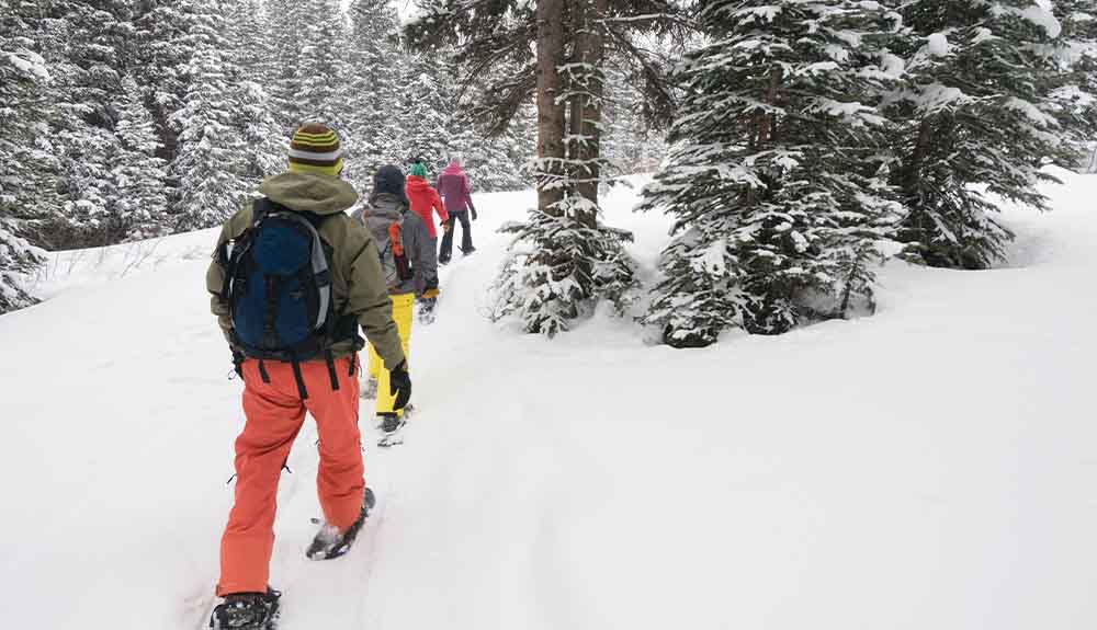 Four people are shown snowshoeing in a single file line in a forest in the winter