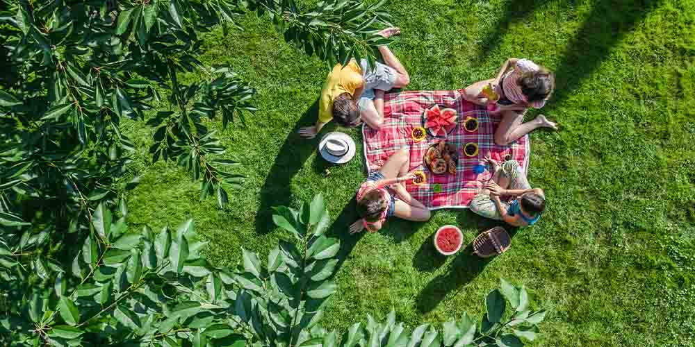An overhead photo of four people sitting on a red checkered blanket on the grass having a picnic. They have a cut watermelon in front of them with two other plates of food, as well as individual yellow bowls in front of each of them.