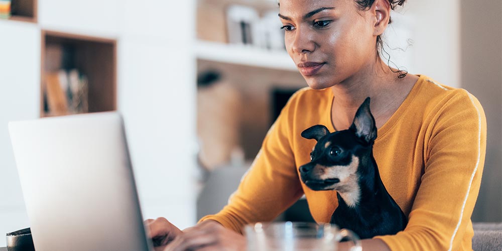 A woman sits in front of her laptop with a small black dog on her lap