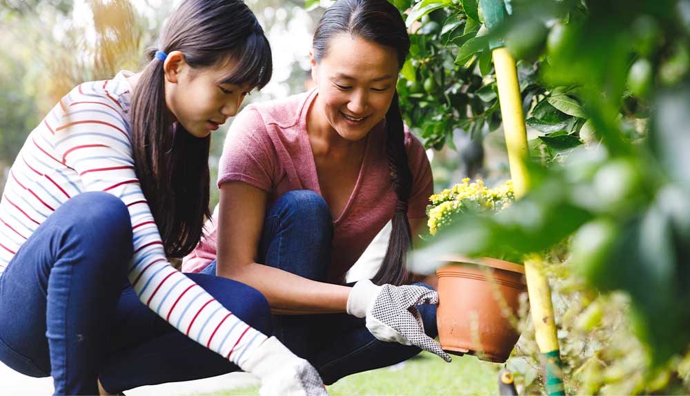 A woman wearing a soft pink V-neck T-shirt and jeans with a single braid in her hair and gardening gloves is holding a small clay pot with a yellow flowering plant in it. There is a teenage girl next to her wearing a long-sleeved striped shirt with blue and burgundy stripes and jeans. Her hair is in pig tails. She is also wearing white gardening gloves. They are both looking at the ground in front of them.