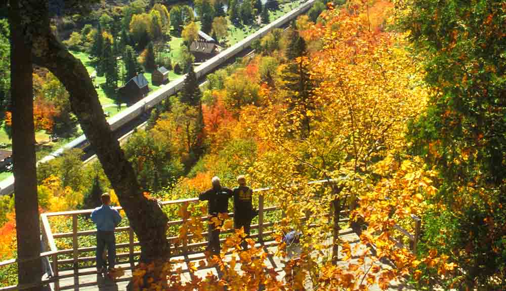A bird's eye view of three hikers standing at a lookout point looking down at the trees below them, which are bright shades of yellow, orange and dark green. 