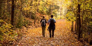 Two people walking through a worn down path of fallen leaves. They are each wearing backpacks, walking next to each other along a trail with trees on both sides with leaves that are bright yellow.