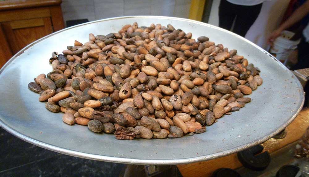 Raw cocoa beans roast on a metal tray in Calle Francisco Javier Mina
