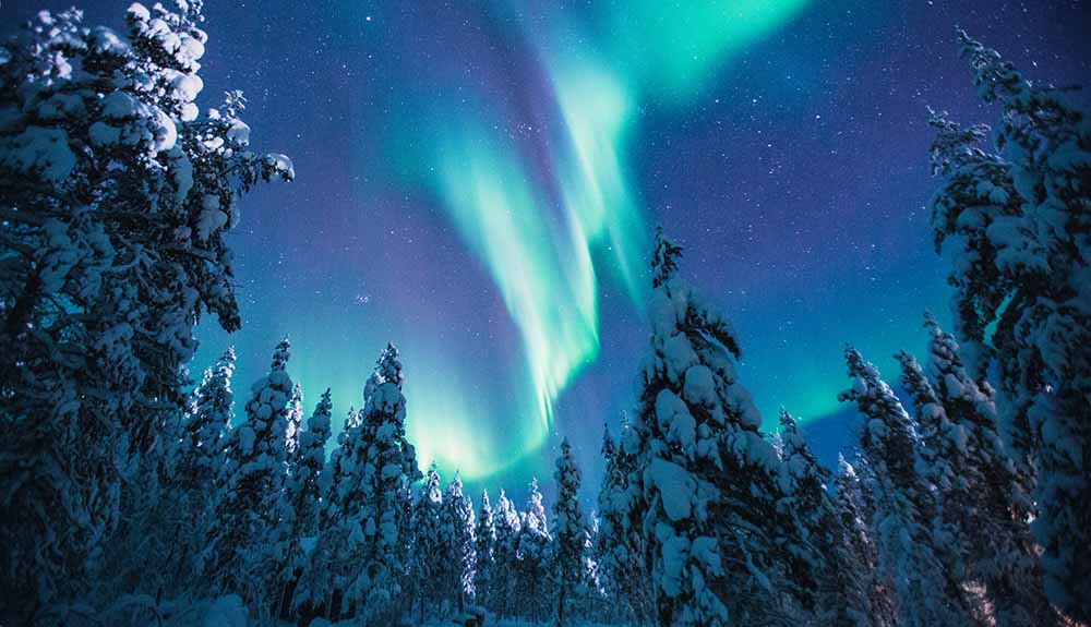 A winter night shot of snow-covered trees and the beautiful northern lights as seen from Finland