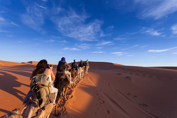 riding camels on sand dunes in desert