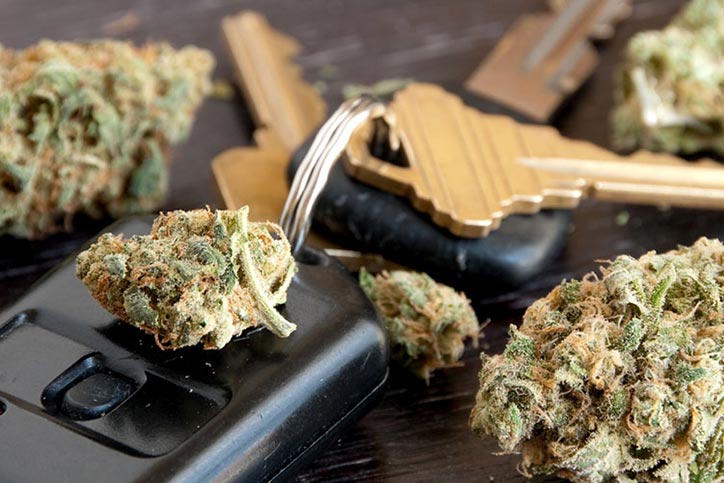 Cannabis and car keys
