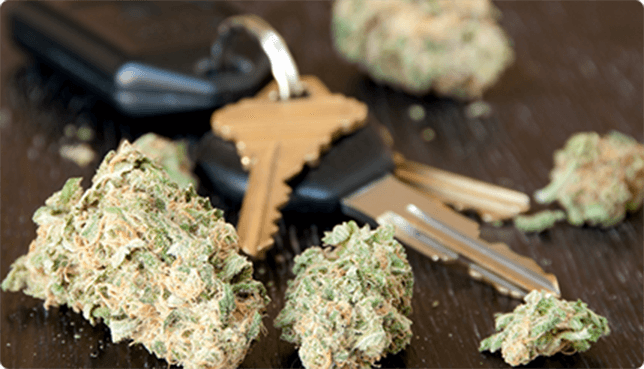 Cannabis and car keys