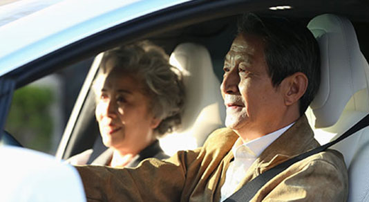two senior asians inside car