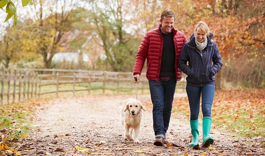 Couple walking in a trail with dog during fall season.