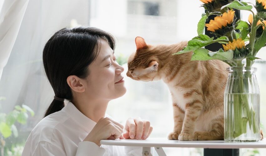 Woman smiling at cat sitting on table.