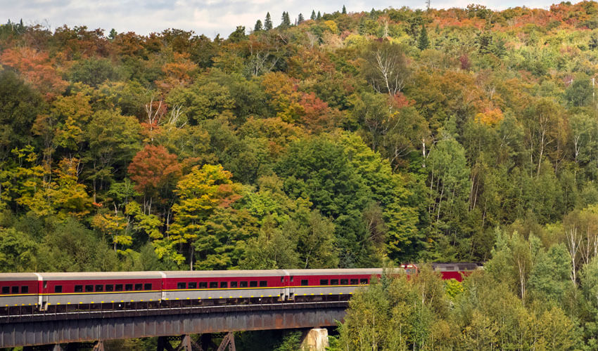 Fall leaf show in Agawa Canyon Park