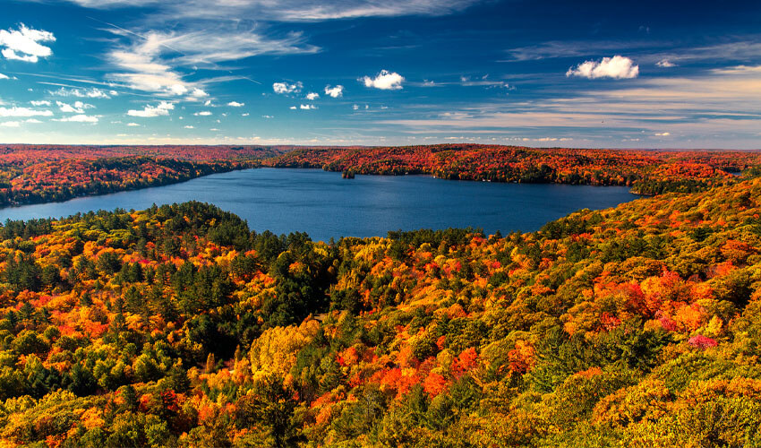 Fall leaf show in Algonquin Park
