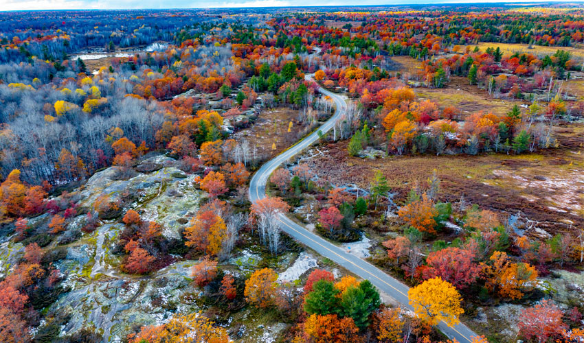 Fall leaf show in Muskoka
