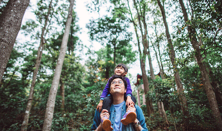 Dad with a young son on his shoulders walking in a forest.