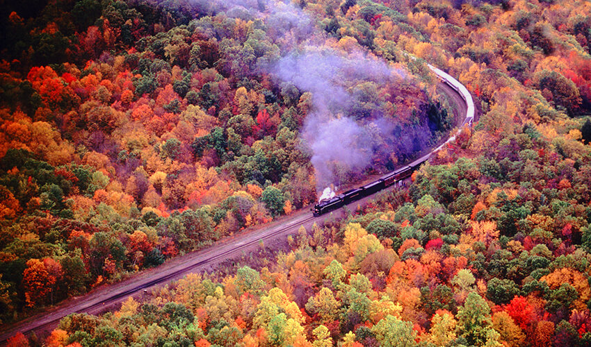 Aerial view of train going through fall landscape.
