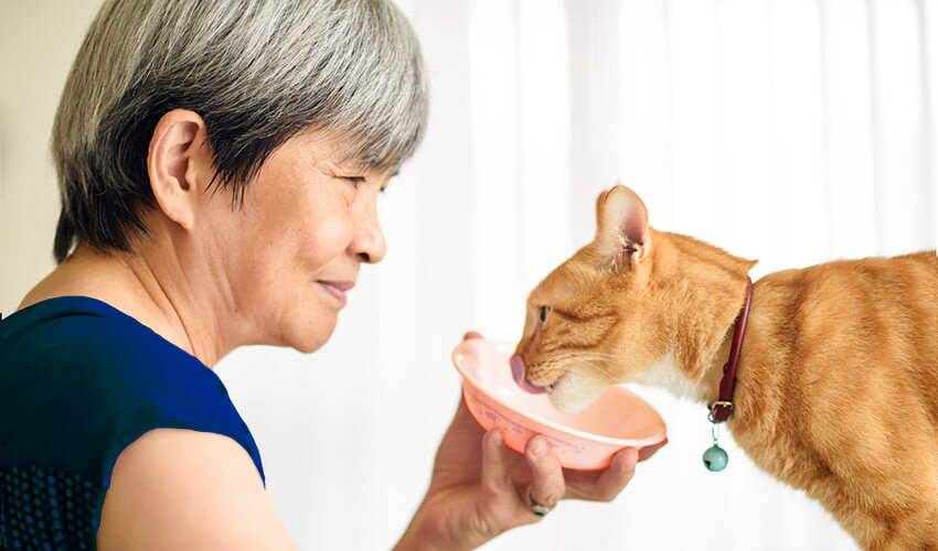 Smiling woman holding up a dish for ginger cat.