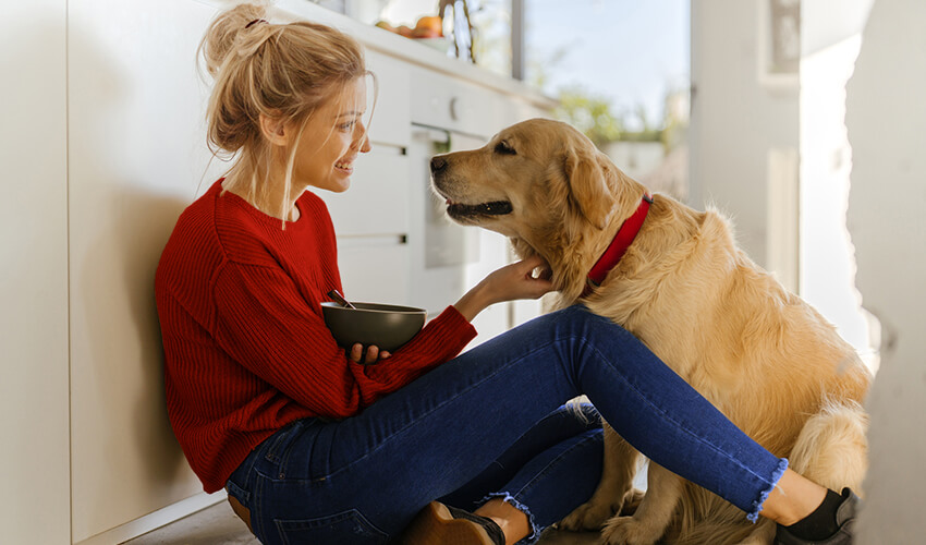 Woman playing with older dog on a kitchen floor.