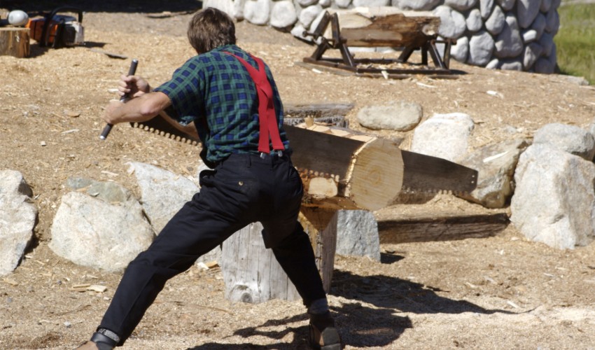 Man sawing log in competition