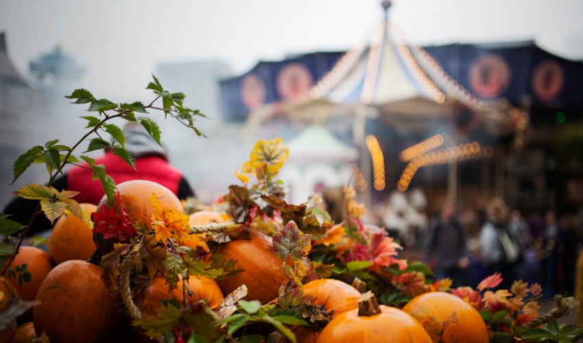 Pumpkins in foreground, midway in background