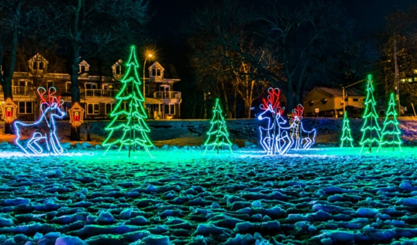 Burlington Festival of Lights display with reindeer and Christmas trees.