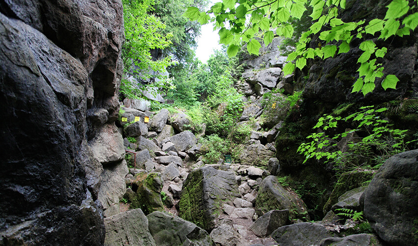 Rocky cave with green leaves, Collingwood, Canada.